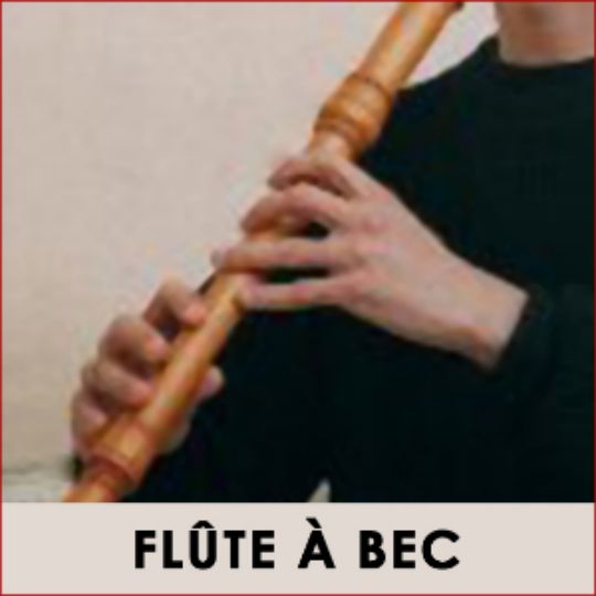 cours de flute à bec à Montpellier
